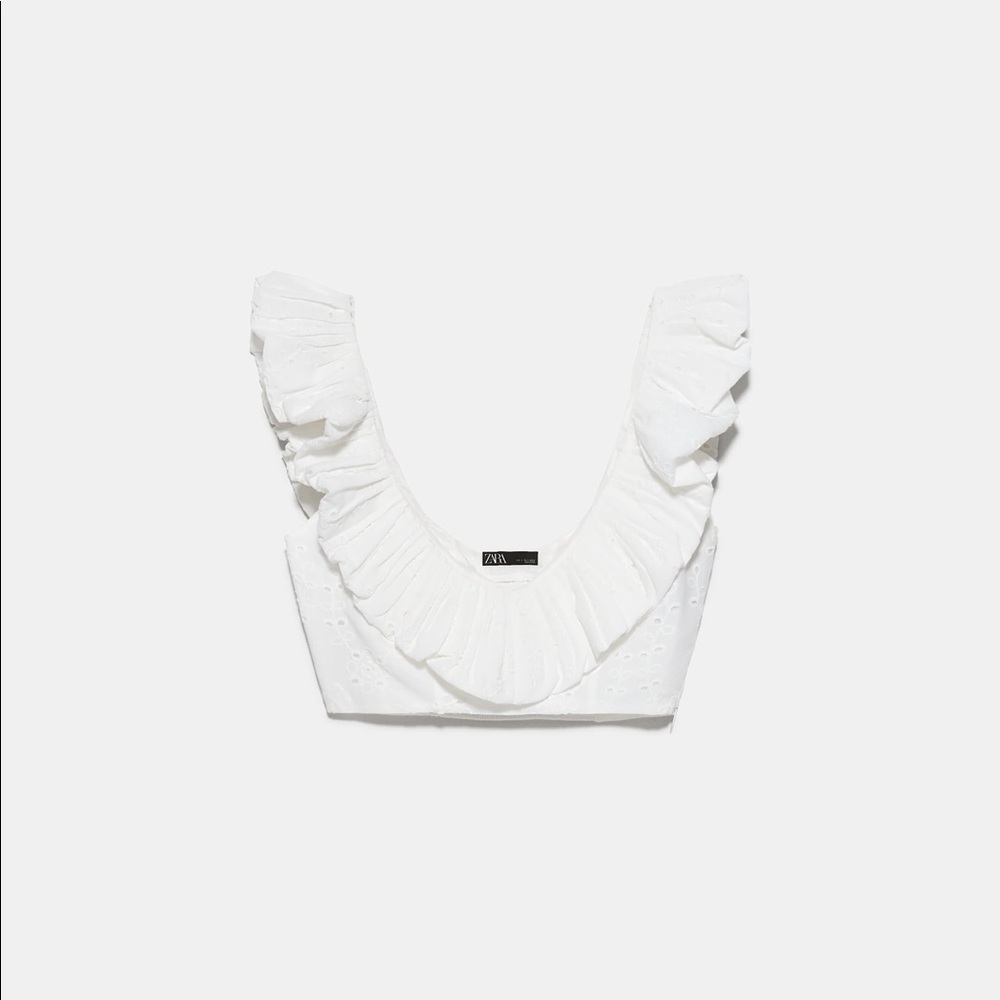 Zara Embroidered Eyelet Crop Top